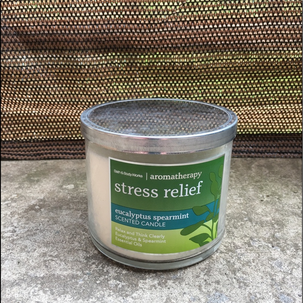 Bath & Body Works 2-Wick Candles - Eucalyptus Spearmint